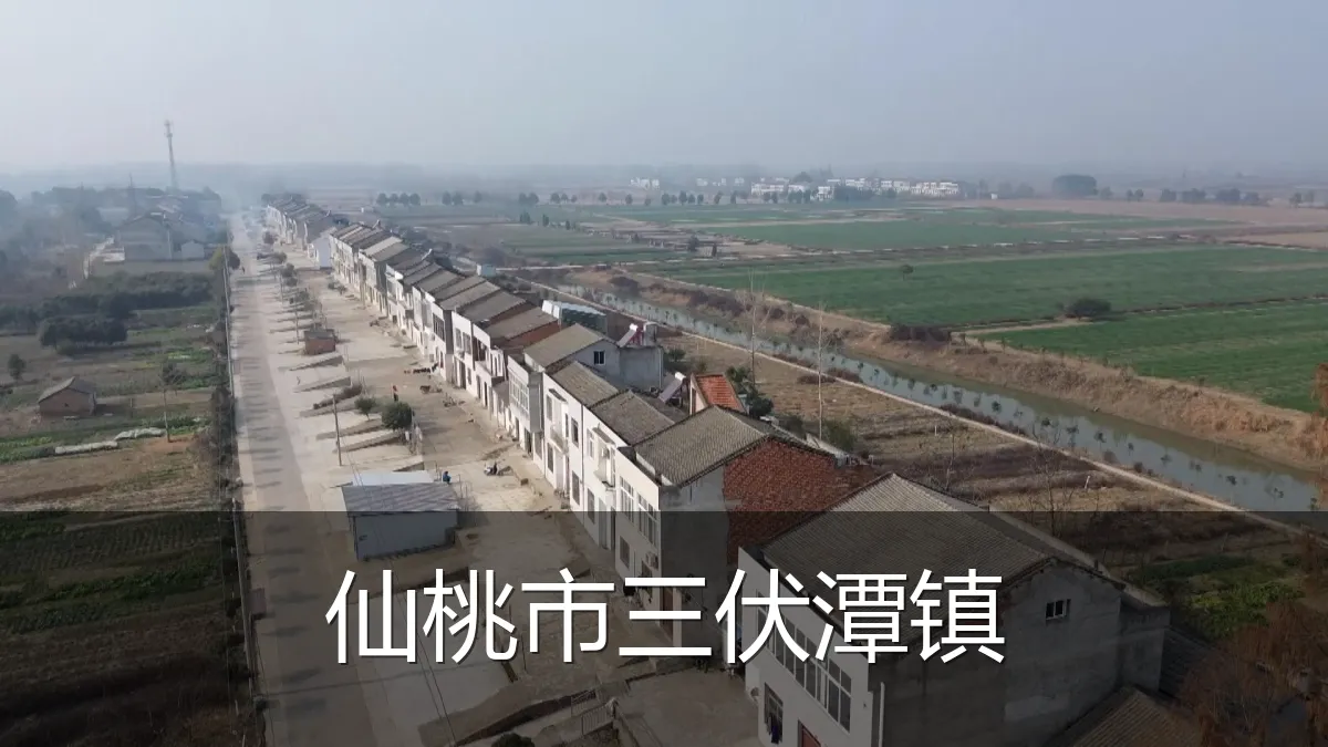 仙桃市三伏潭镇