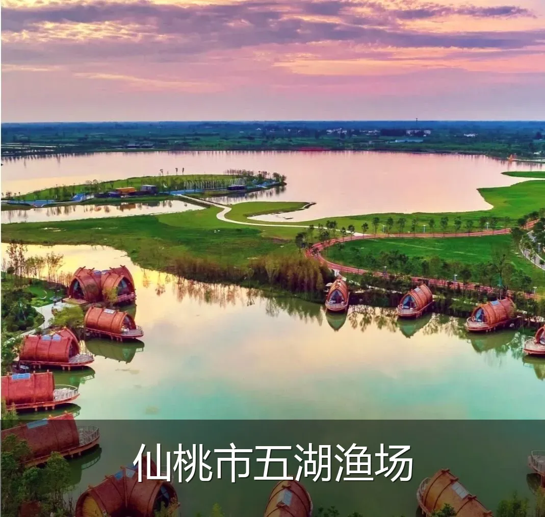 仙桃市五湖渔场