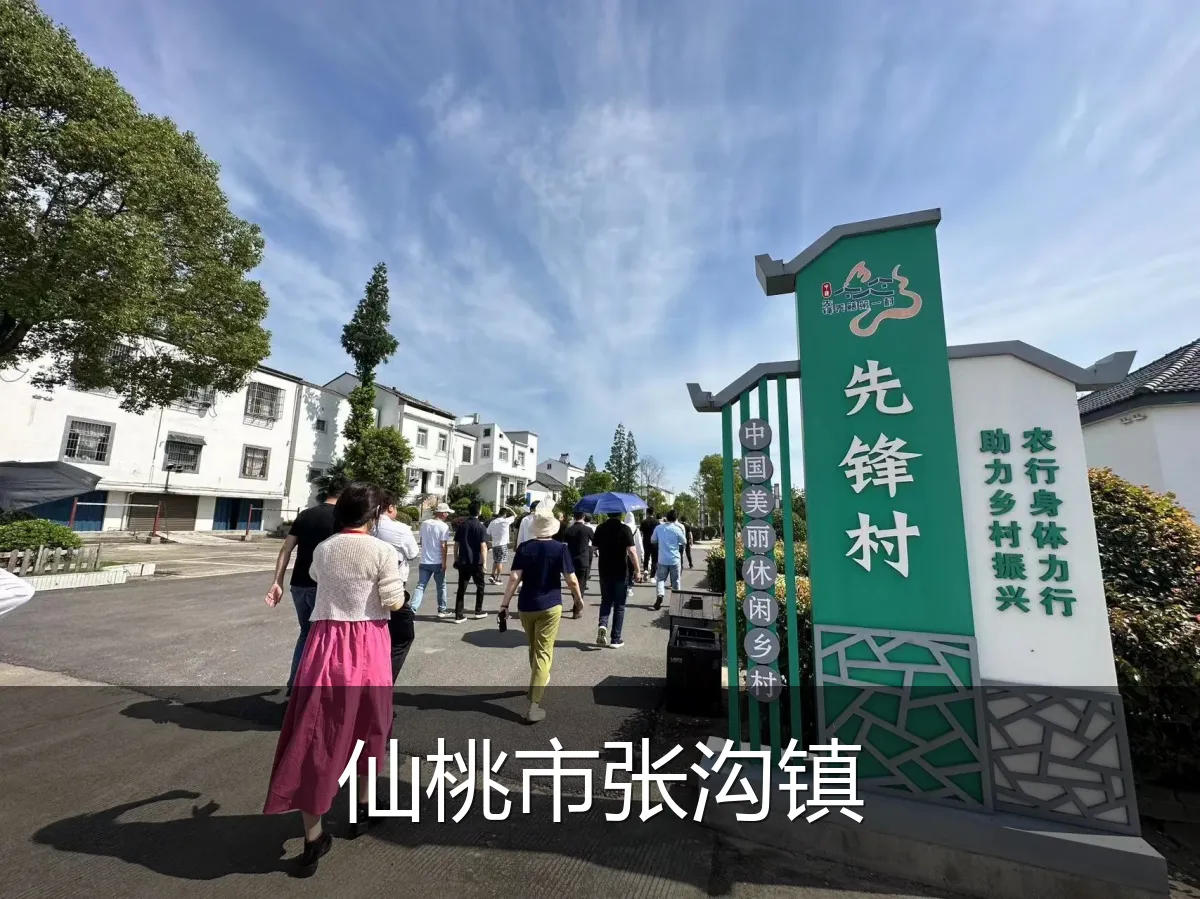 仙桃市张沟镇