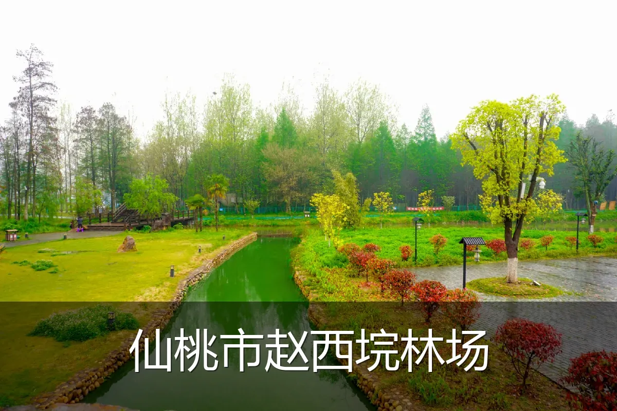 仙桃市赵西垸林场