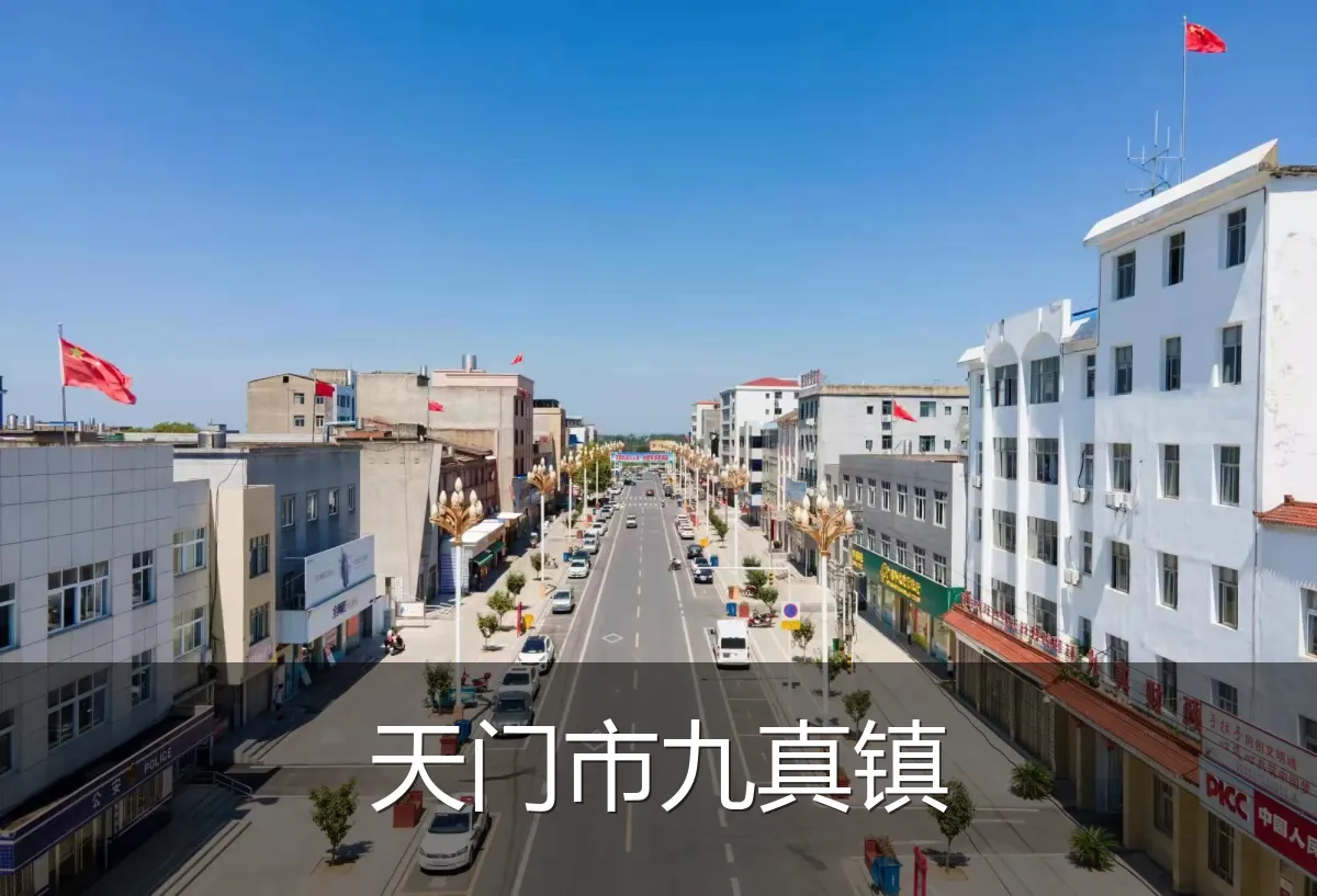 天门市九真镇