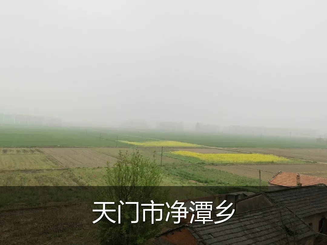 天门市净潭乡
