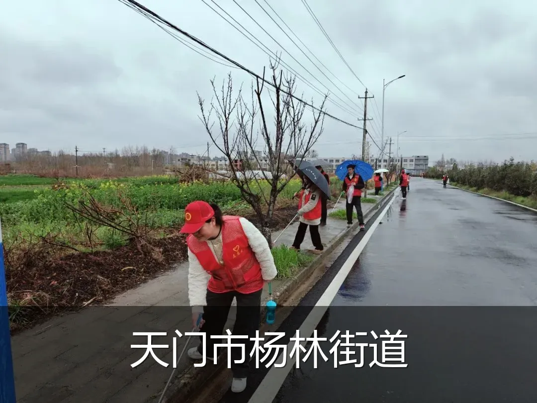 天门市杨林街道