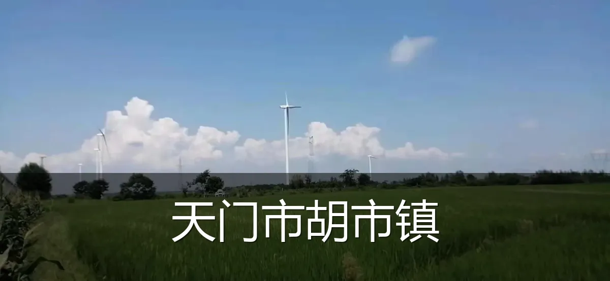 天门市胡市镇