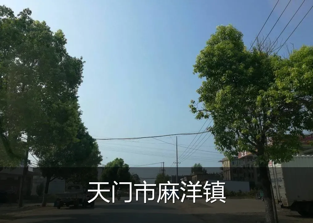 天门市麻洋镇
