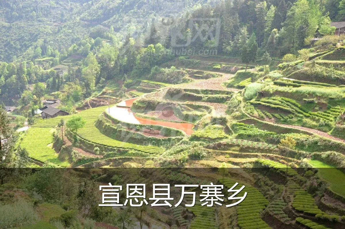 宣恩县万寨乡