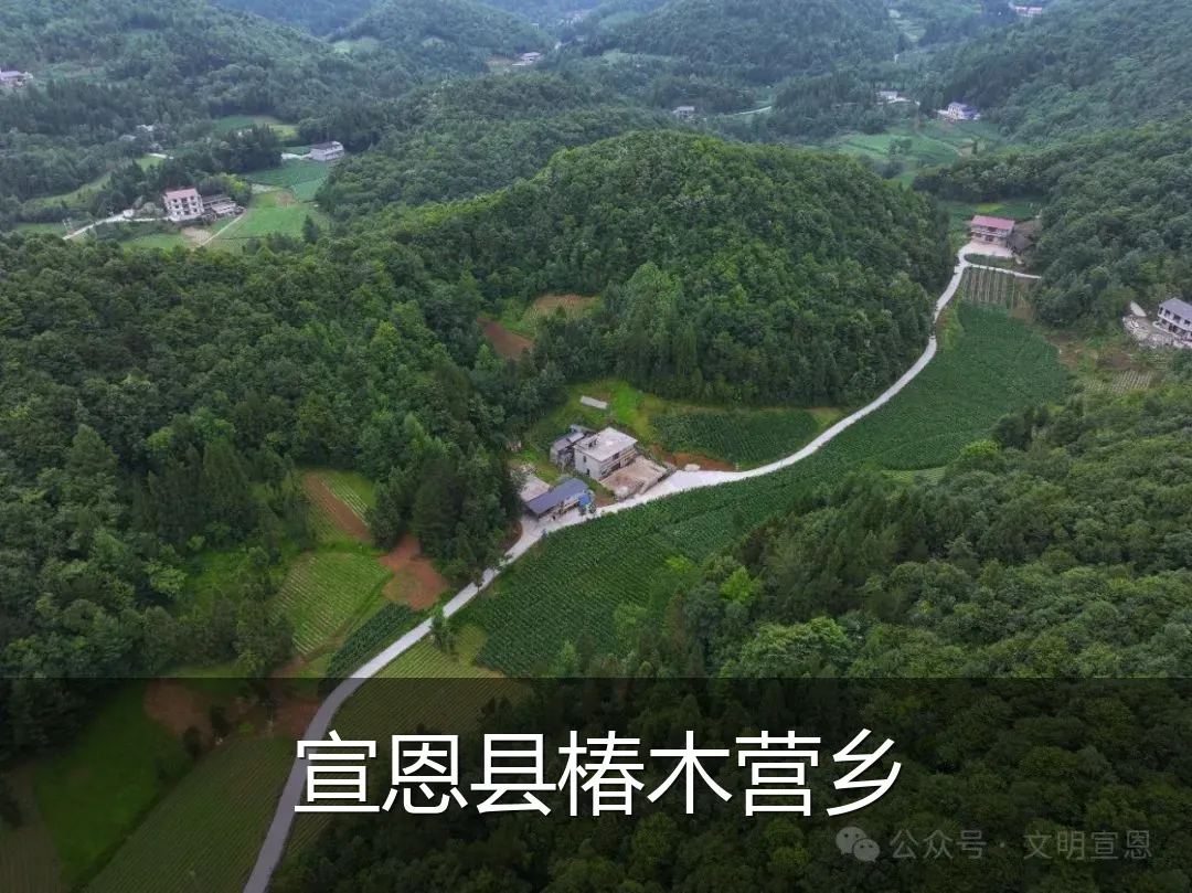宣恩县椿木营乡