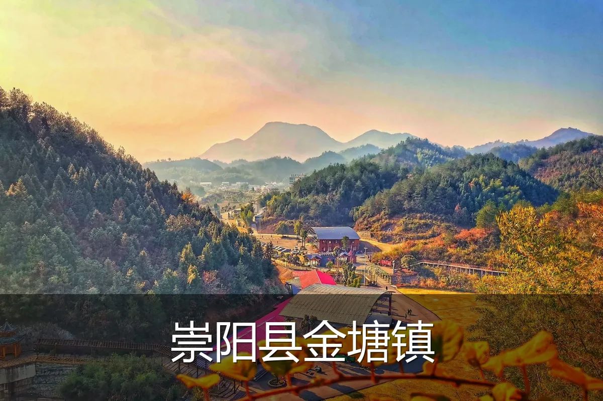 崇阳县金塘镇
