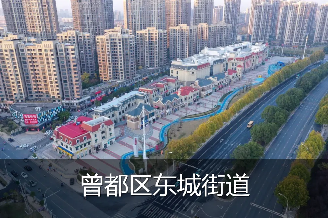 曾都区东城街道