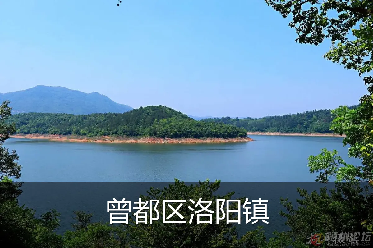曾都区洛阳镇