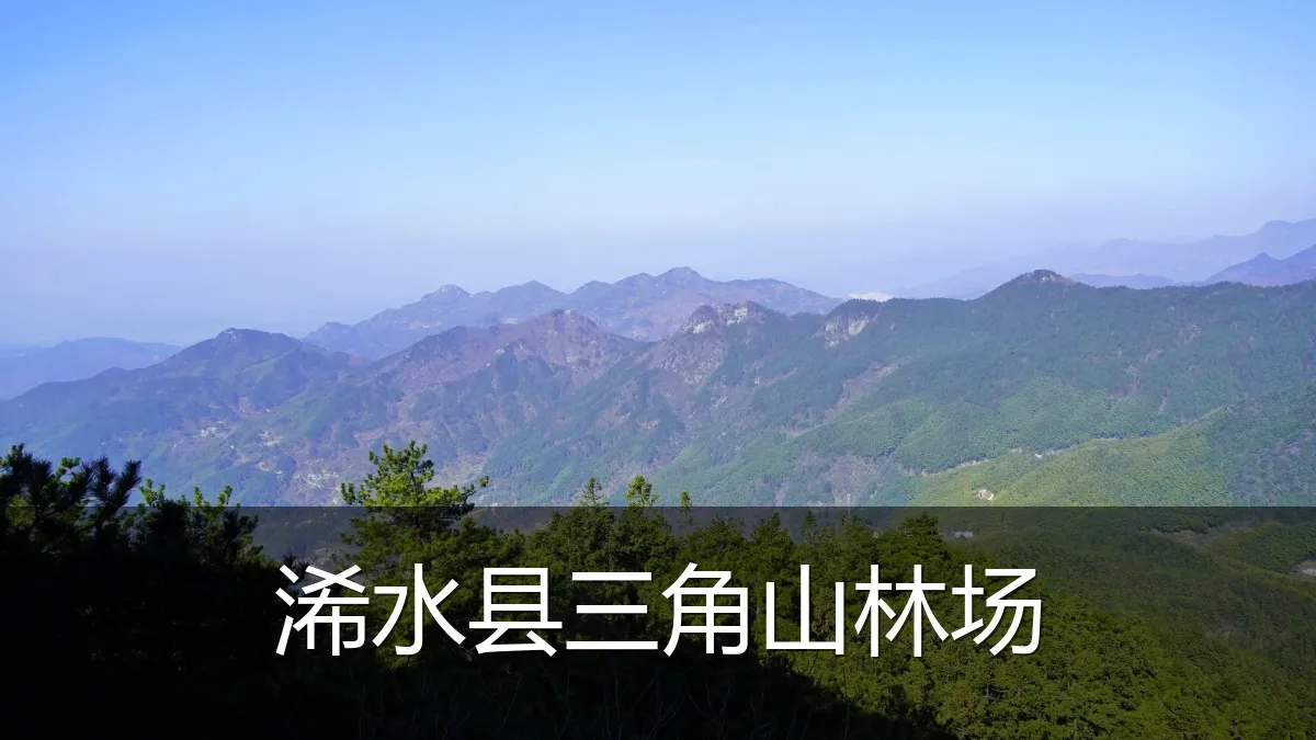 浠水县三角山林场