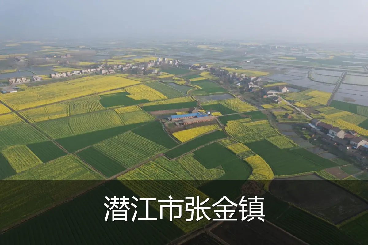 潜江市张金镇