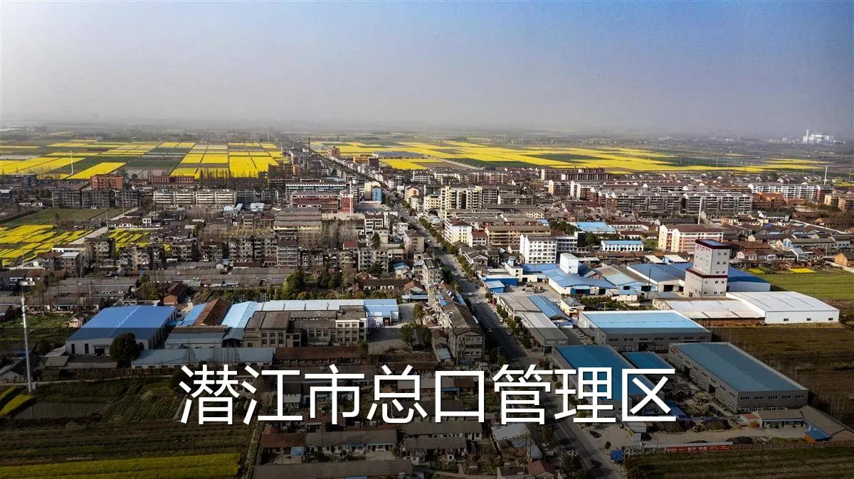 潜江市总口管理区