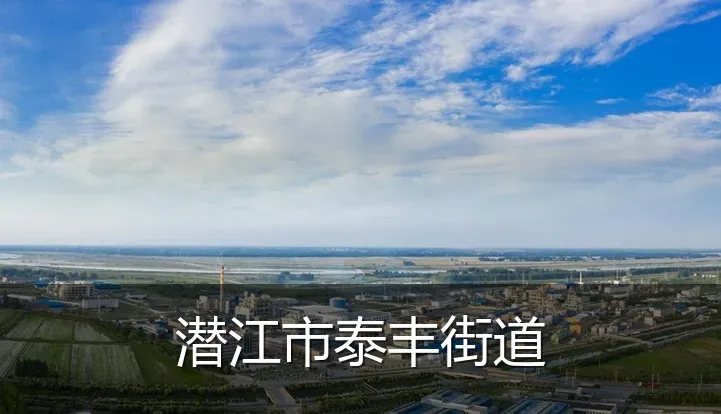 潜江市泰丰街道