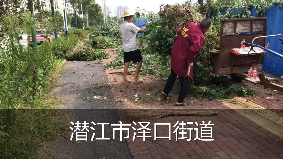 潜江市泽口街道