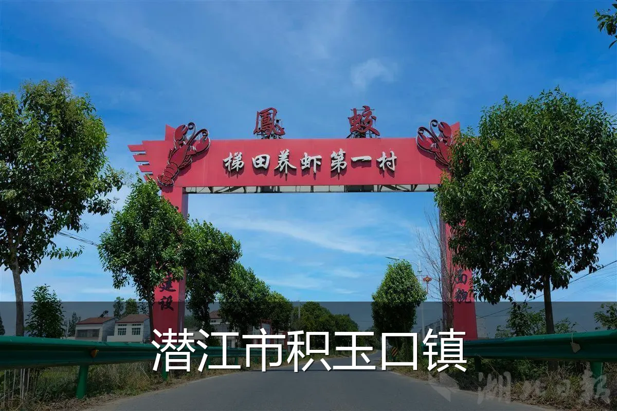 潜江市积玉口镇