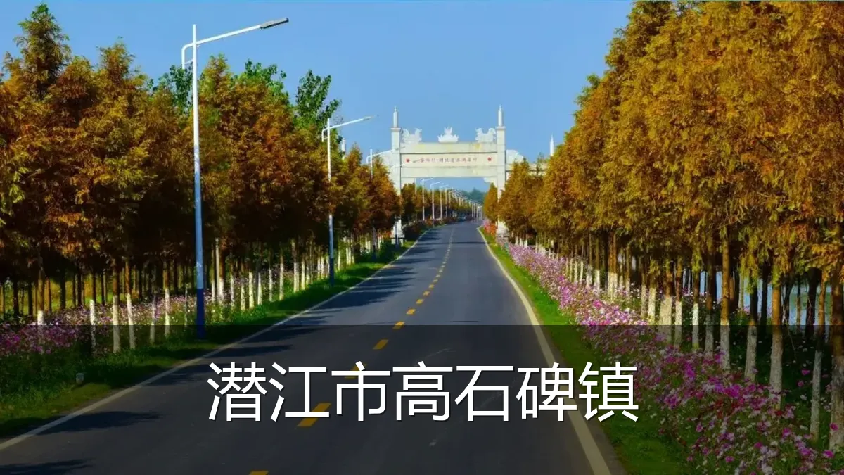 潜江市高石碑镇