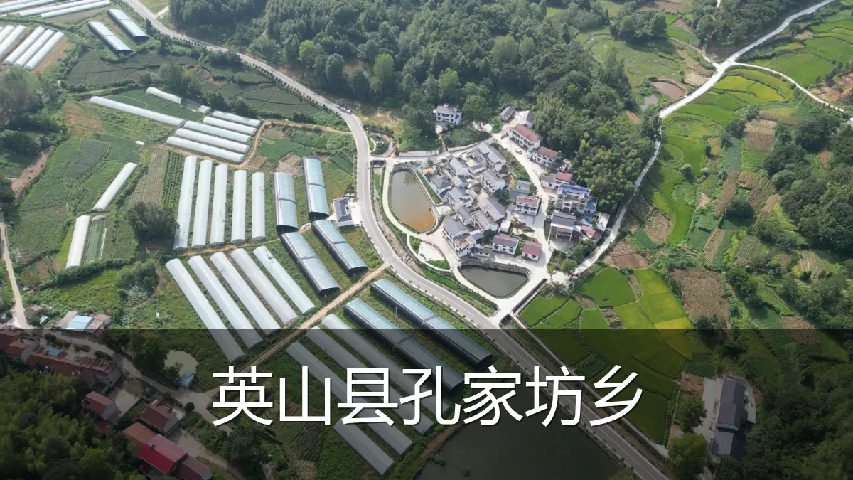 英山县孔家坊乡
