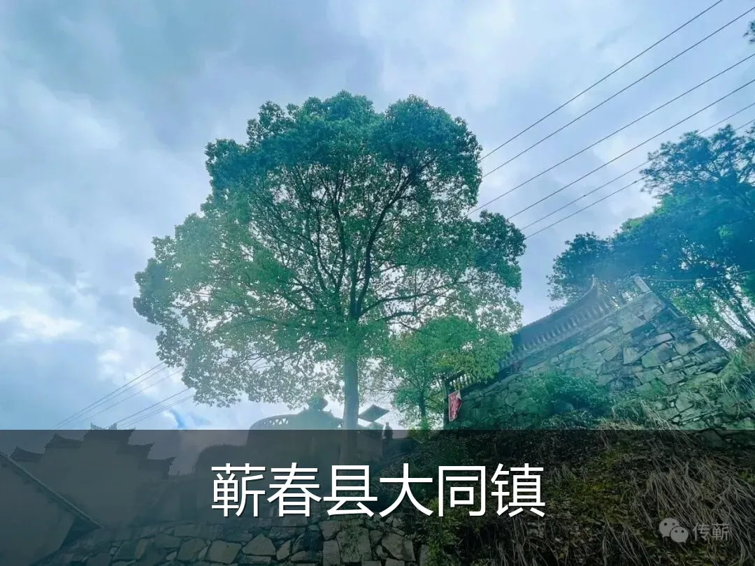 蕲春县大同镇