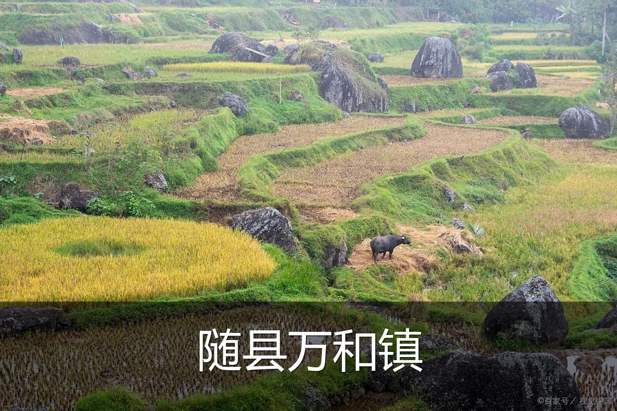 随县万和镇