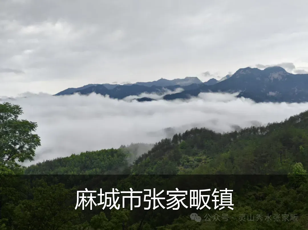 麻城市张家畈镇