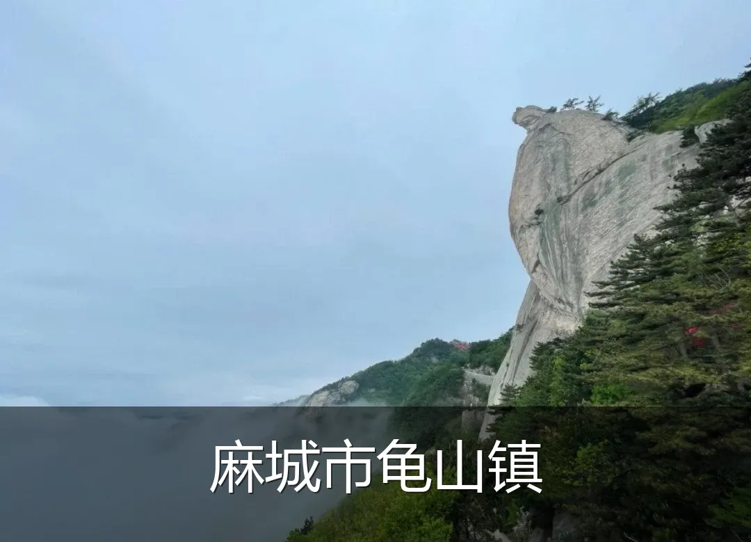 麻城市龟山镇