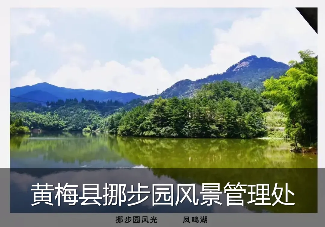 黄梅县挪步园风景管理处