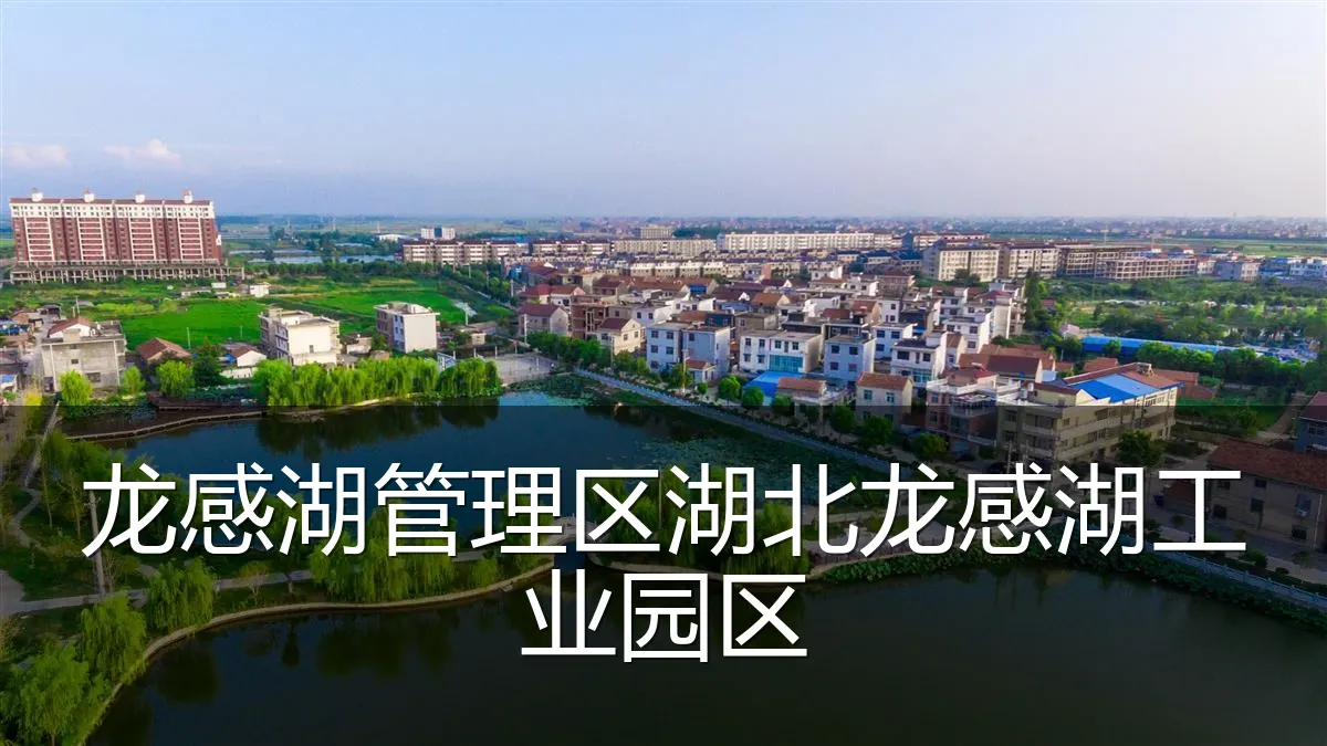 龙感湖管理区湖北龙感湖工业园区