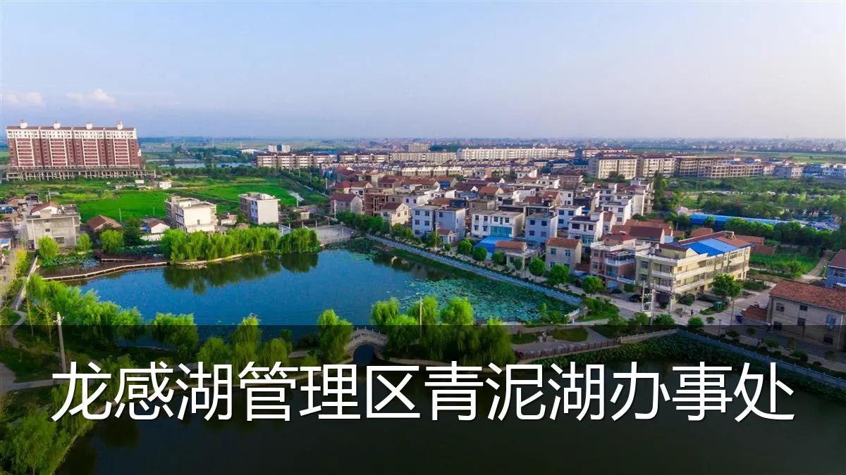龙感湖管理区青泥湖办事处